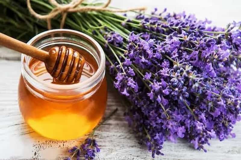 تصویر 1 از عسل آویشن کوهی خالص و طبیعی